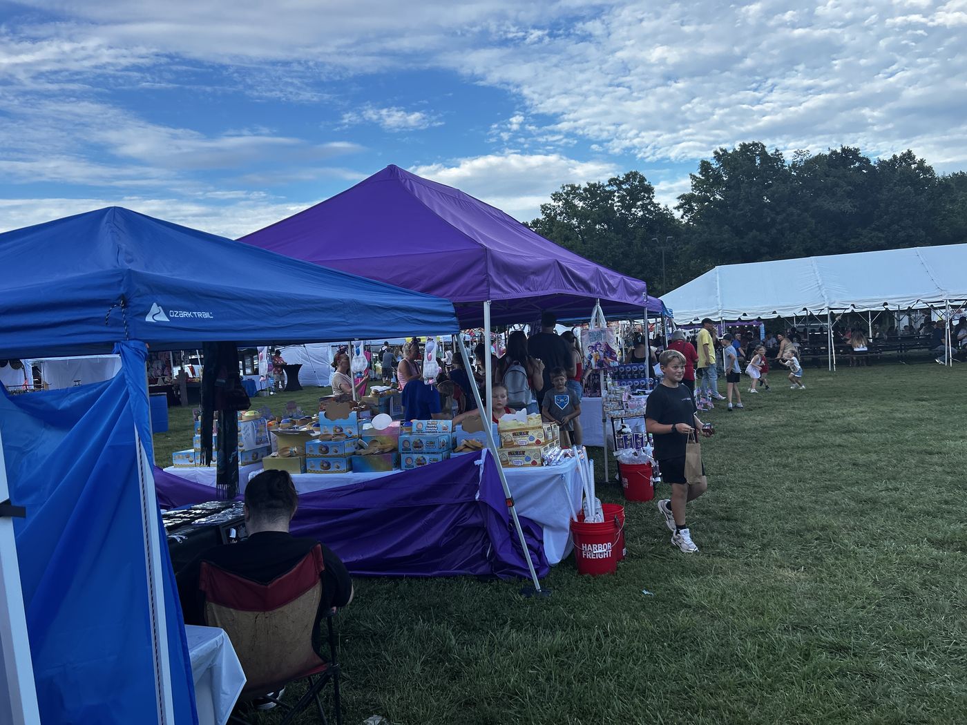 A row of vendor tents on the grass with shoppers browsing the tables, under an evening sky